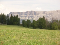 Breccia Cliffs